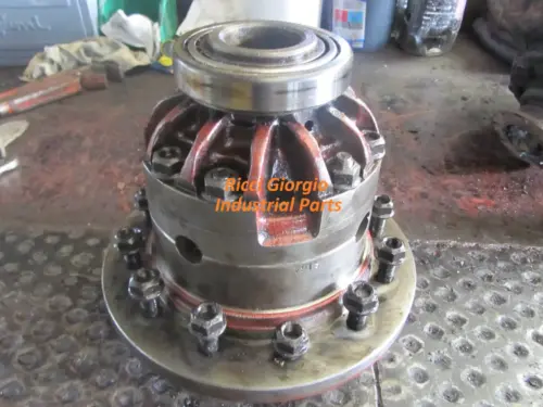 differential carrier 75200060